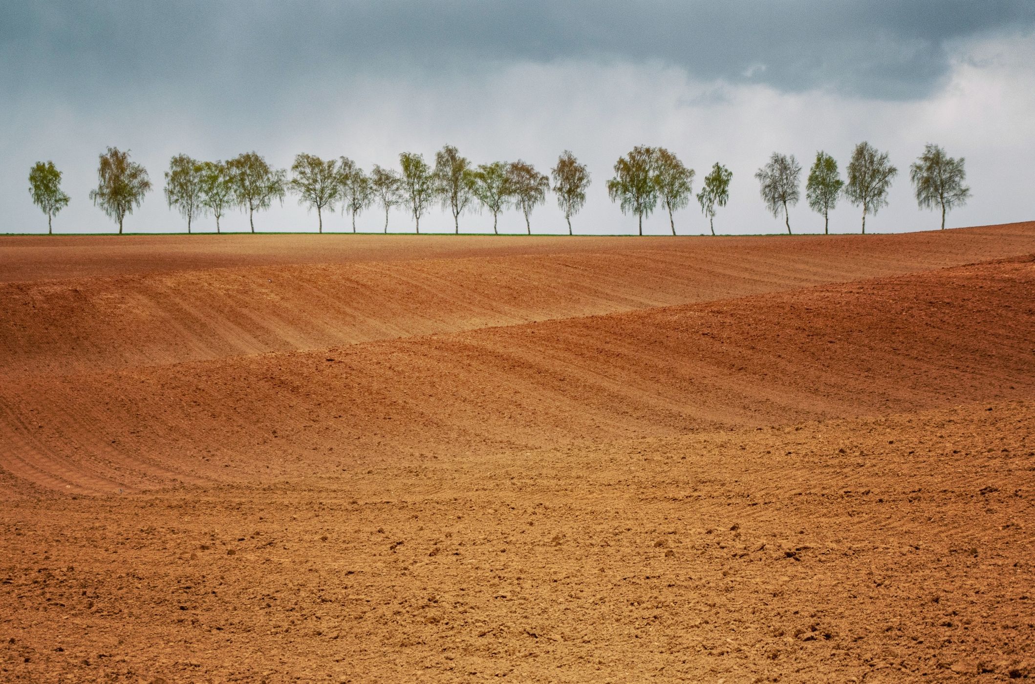 Sachsenhausen, Waldeck, Fields, Germany