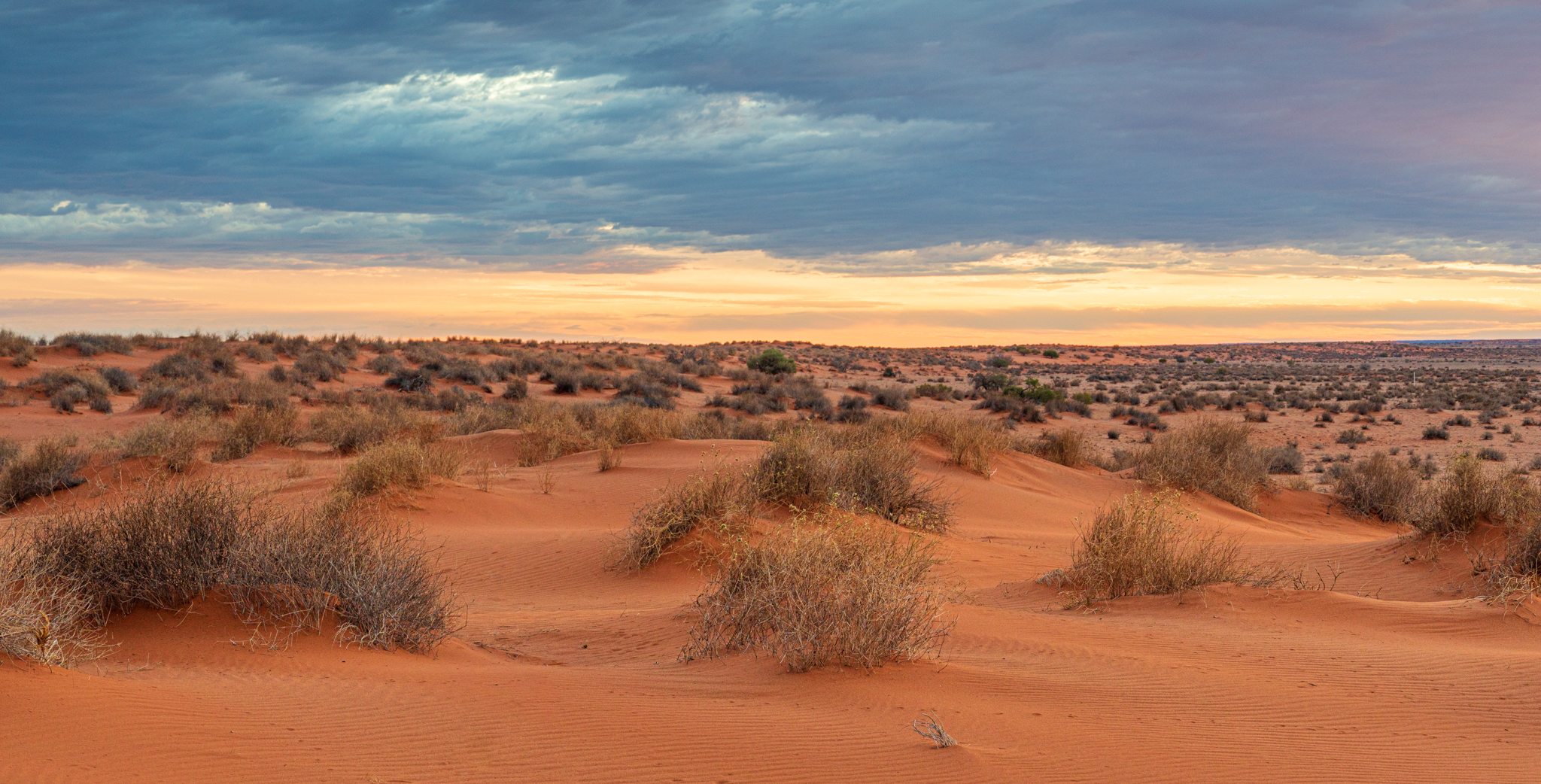 Sand dune at William Creek, Australia