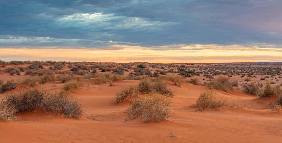 Sand dune at William Creek