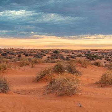 Sand dune at William Creek, Australia