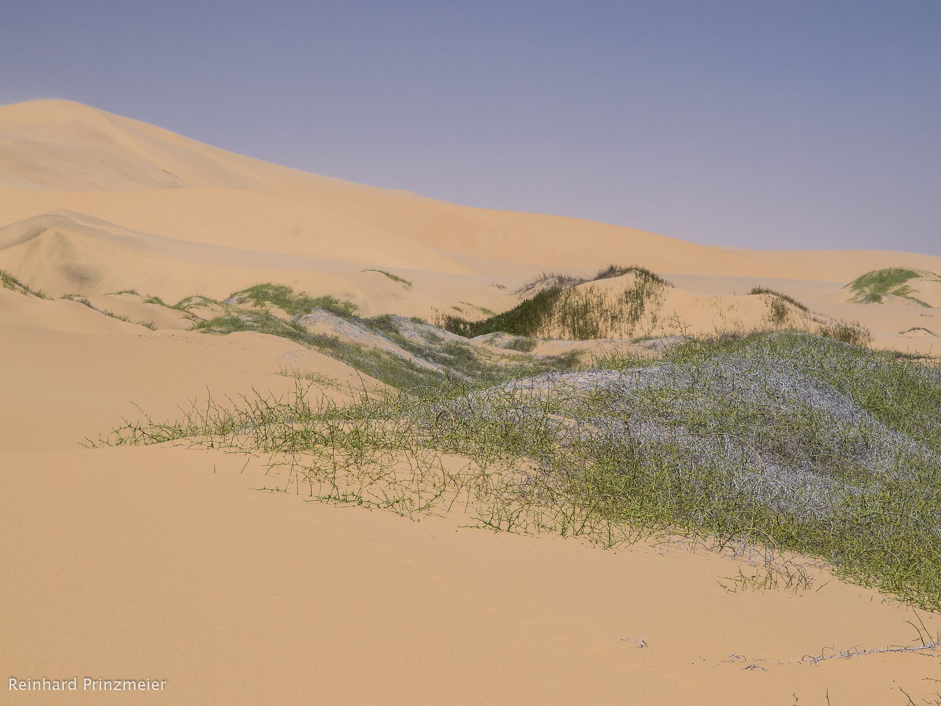 Sandwich Harbour, Namibia