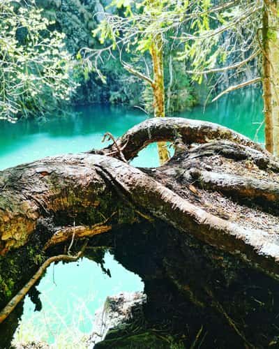 Scropoasa Lake