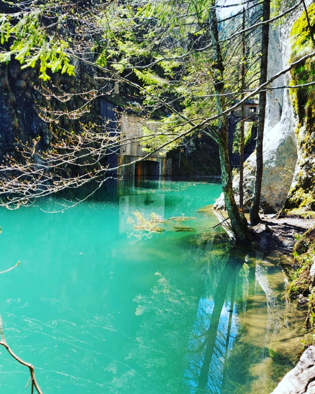 Scropoasa Lake, Romania