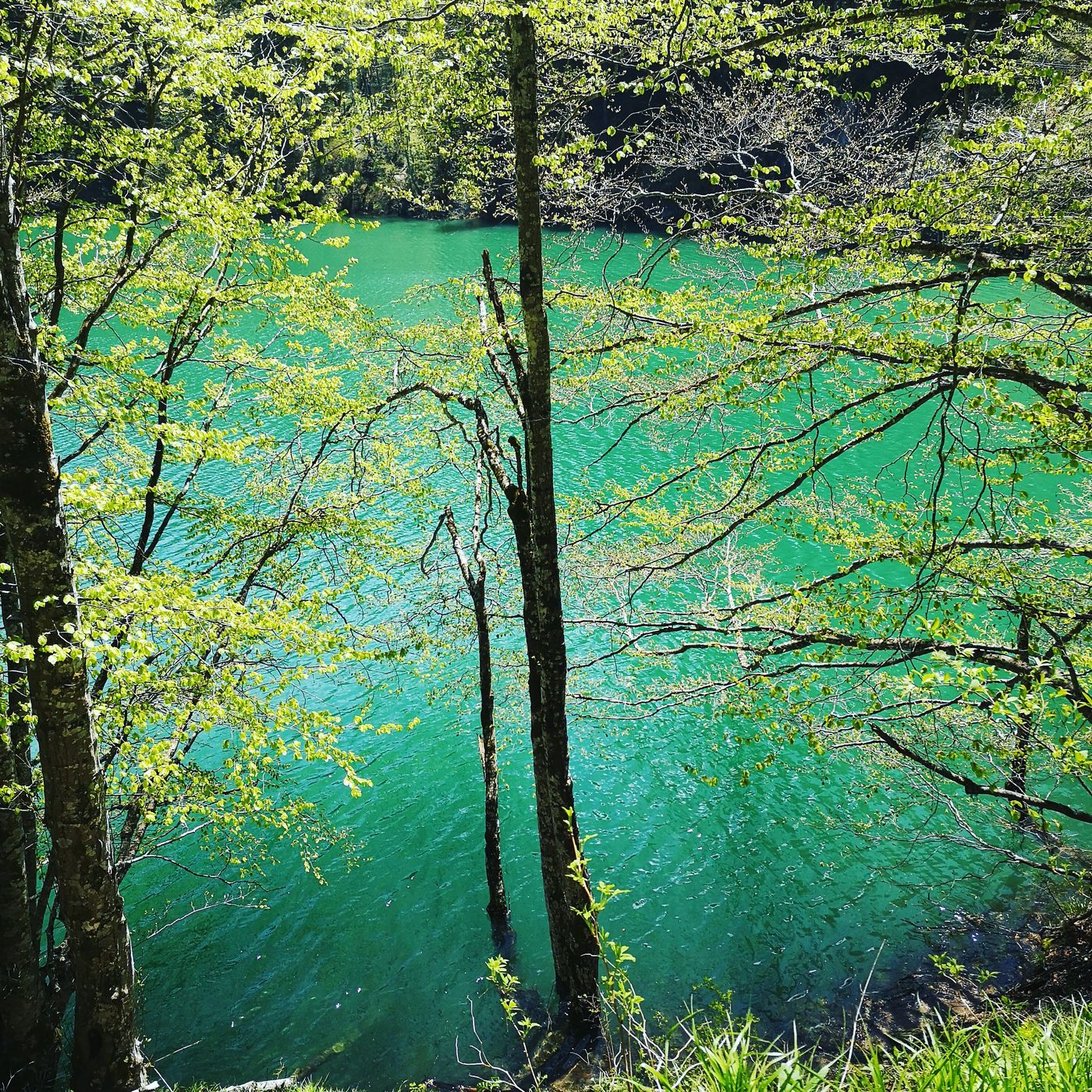 Scropoasa Lake, Romania