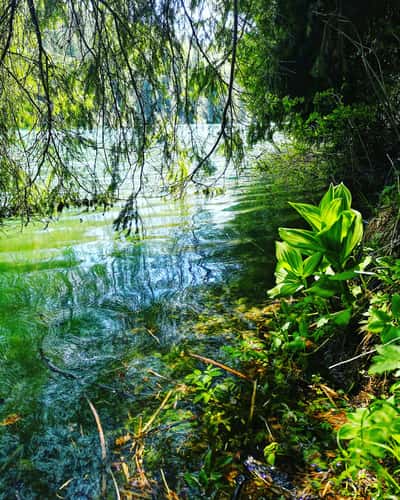 Scropoasa Lake