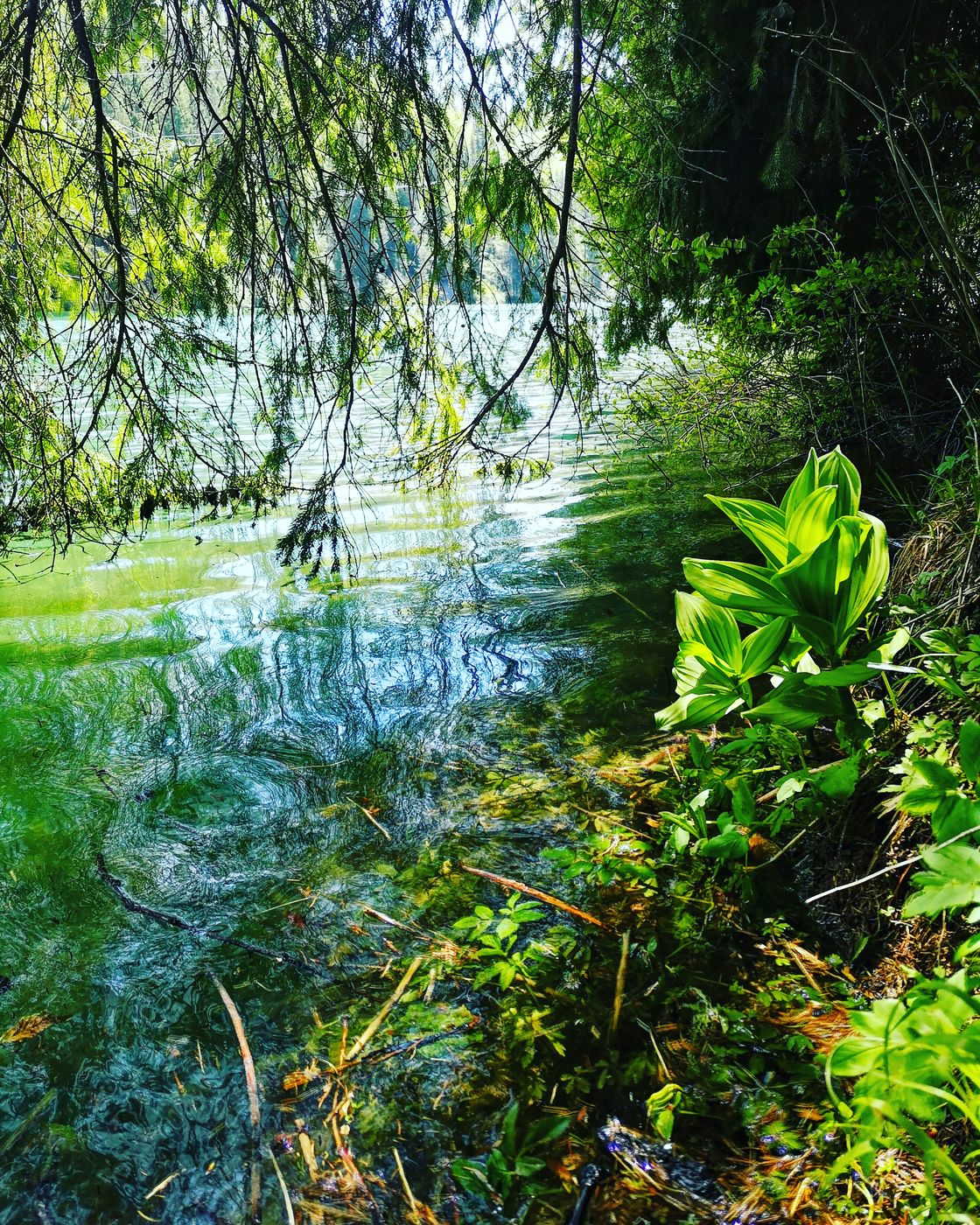 Scropoasa Lake, Romania