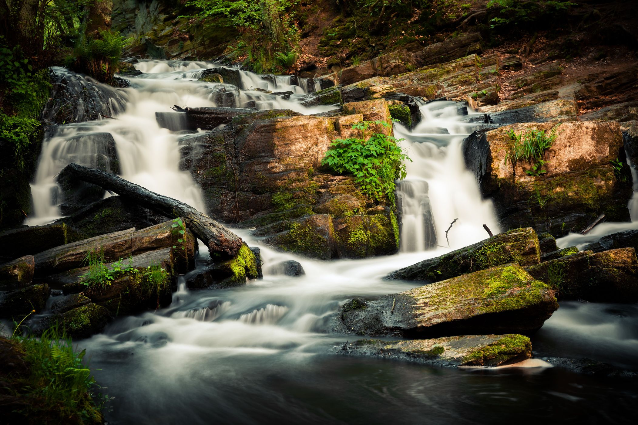 Selkefall - Saxony-Anhalt, Germany