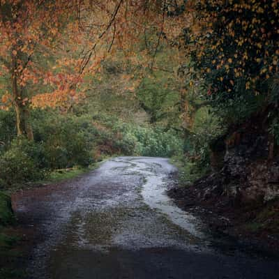 Shipley Bridge, United Kingdom