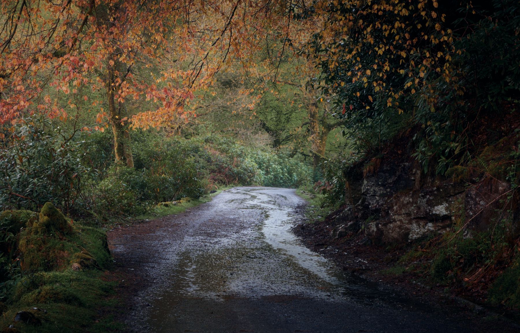 Shipley Bridge, United Kingdom