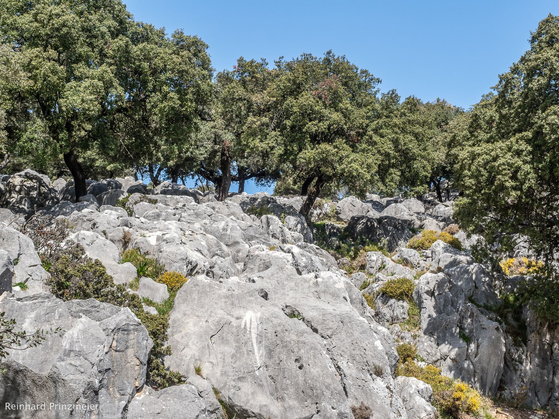 Sierra del Caillo Mountains, Spain
