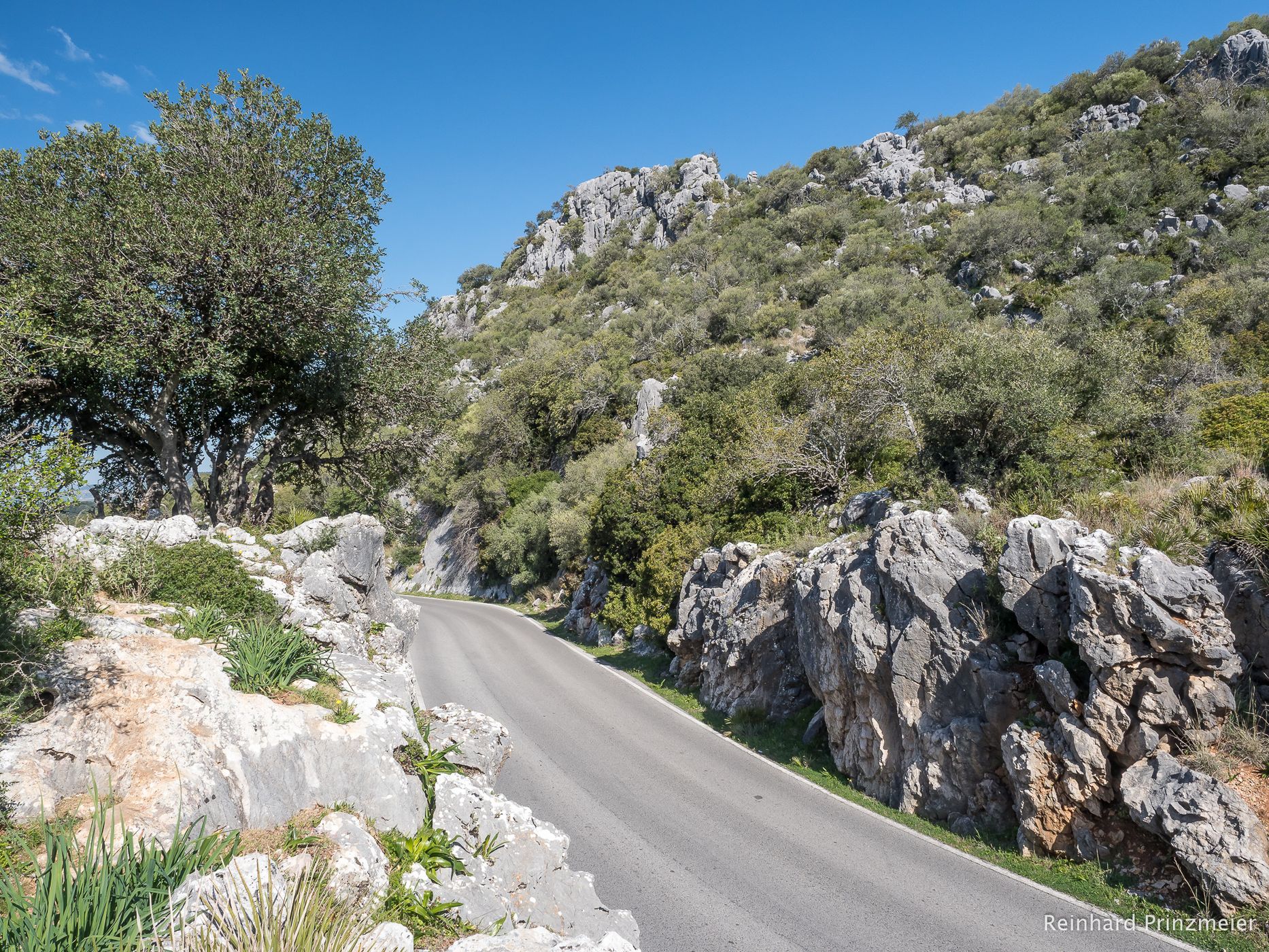 Sierra del Caillo Mountains, Spain