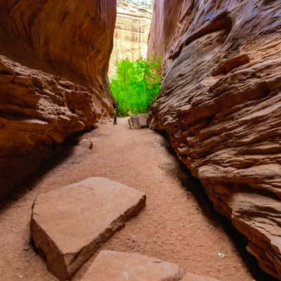 Singing Canyon, USA