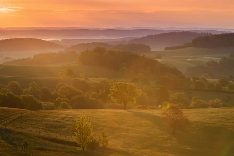 Stettbach Odenwald view