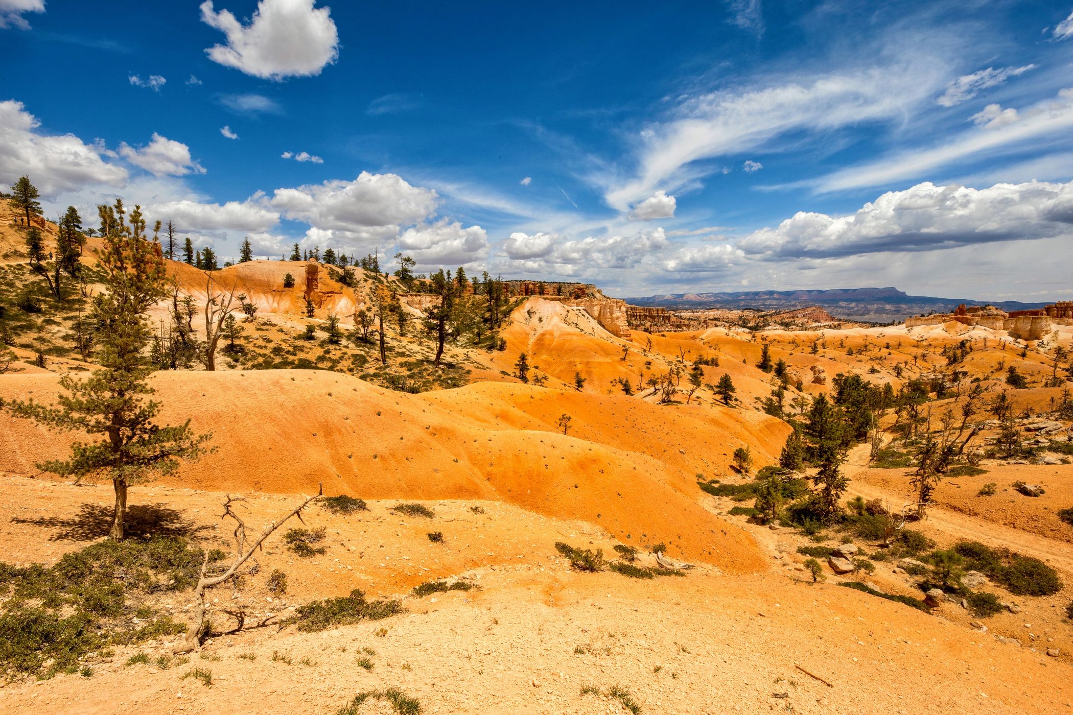 Sunrise Point, Bryce Canyon, Utah, USA