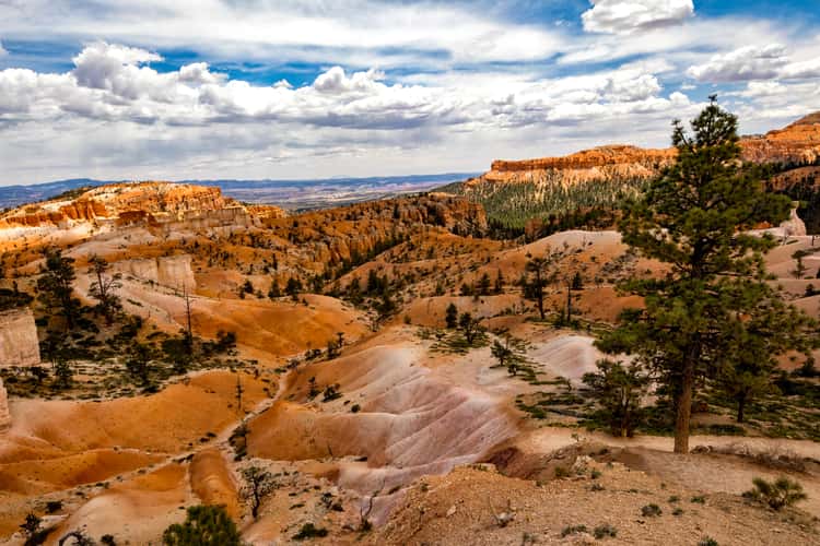 Sunrise Point, Bryce Canyon, Utah