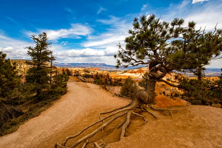 Sunrise Point, Bryce Canyon, Utah