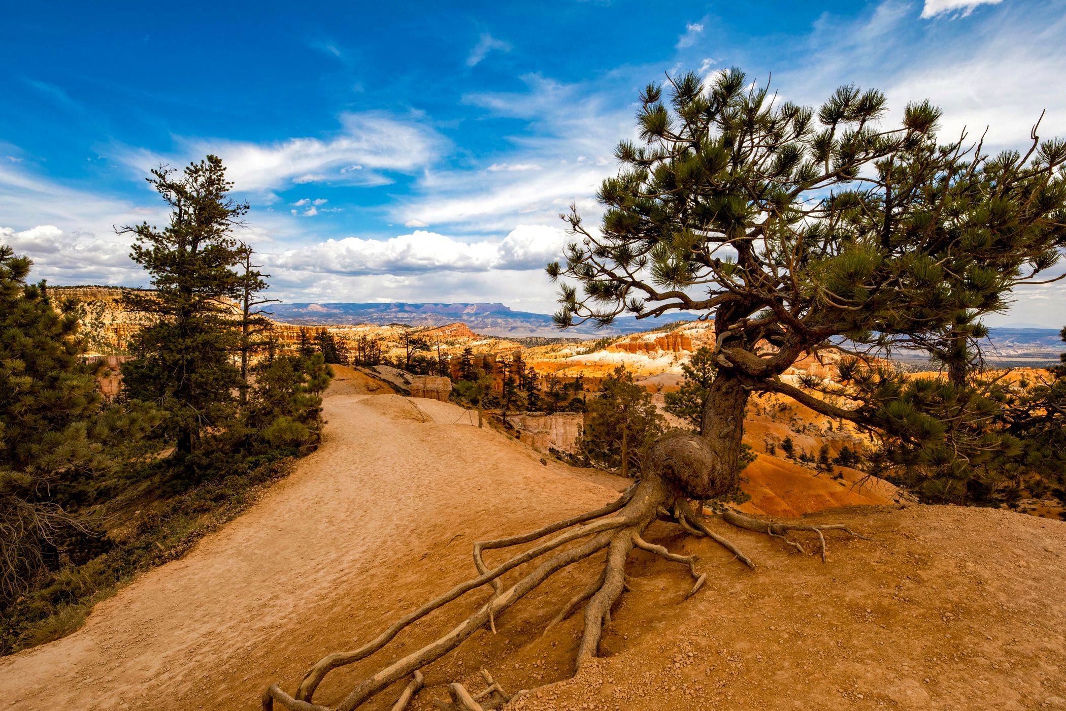 Sunrise Point, Bryce Canyon, Utah, USA