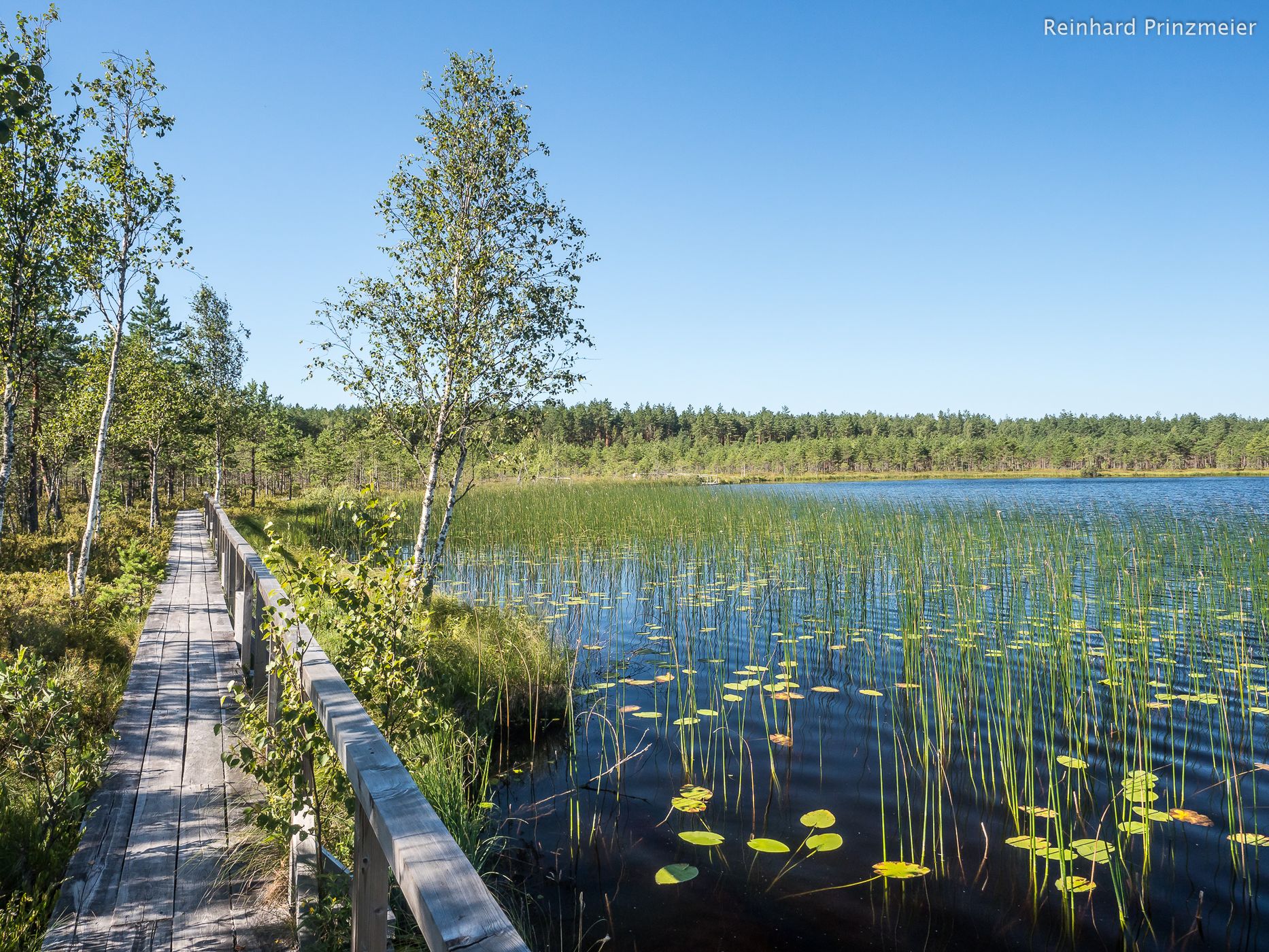 Teirumnīku Ezers Bog, Latvia