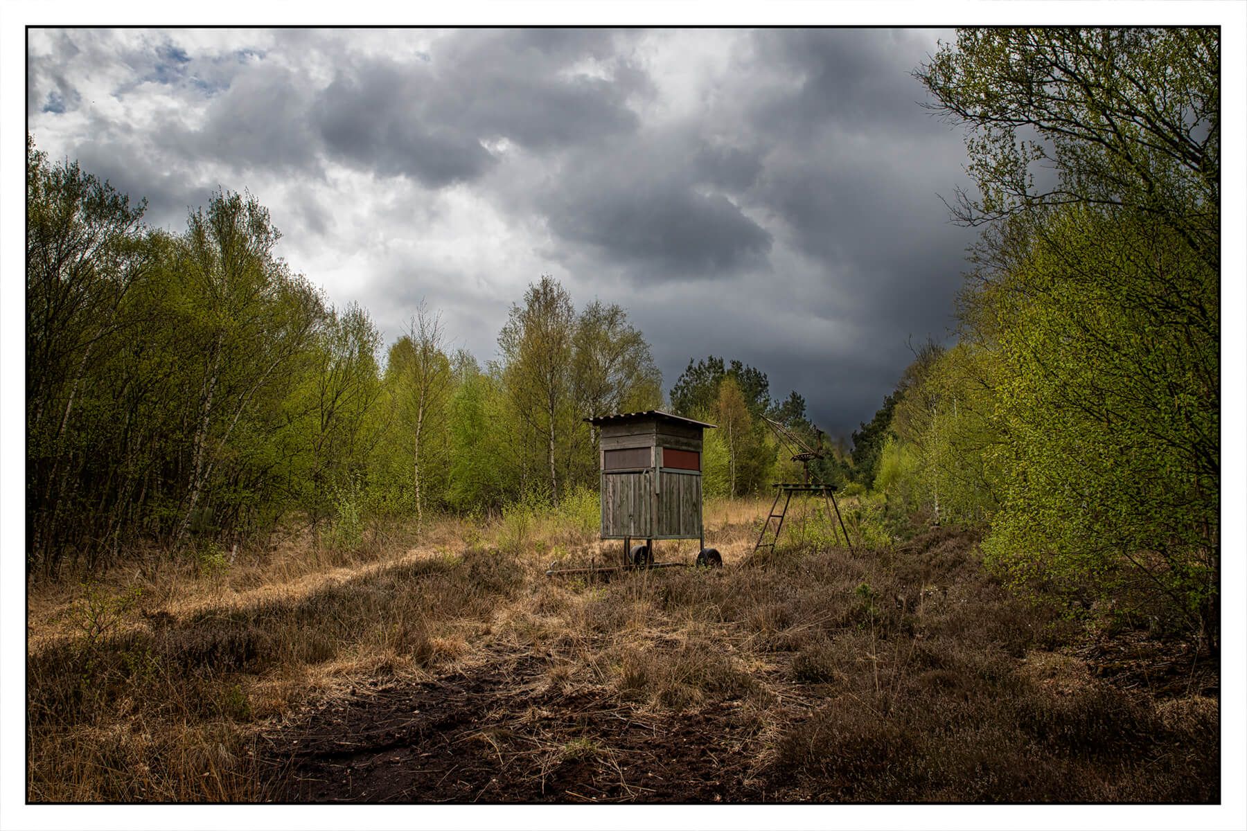 The moor, Germany