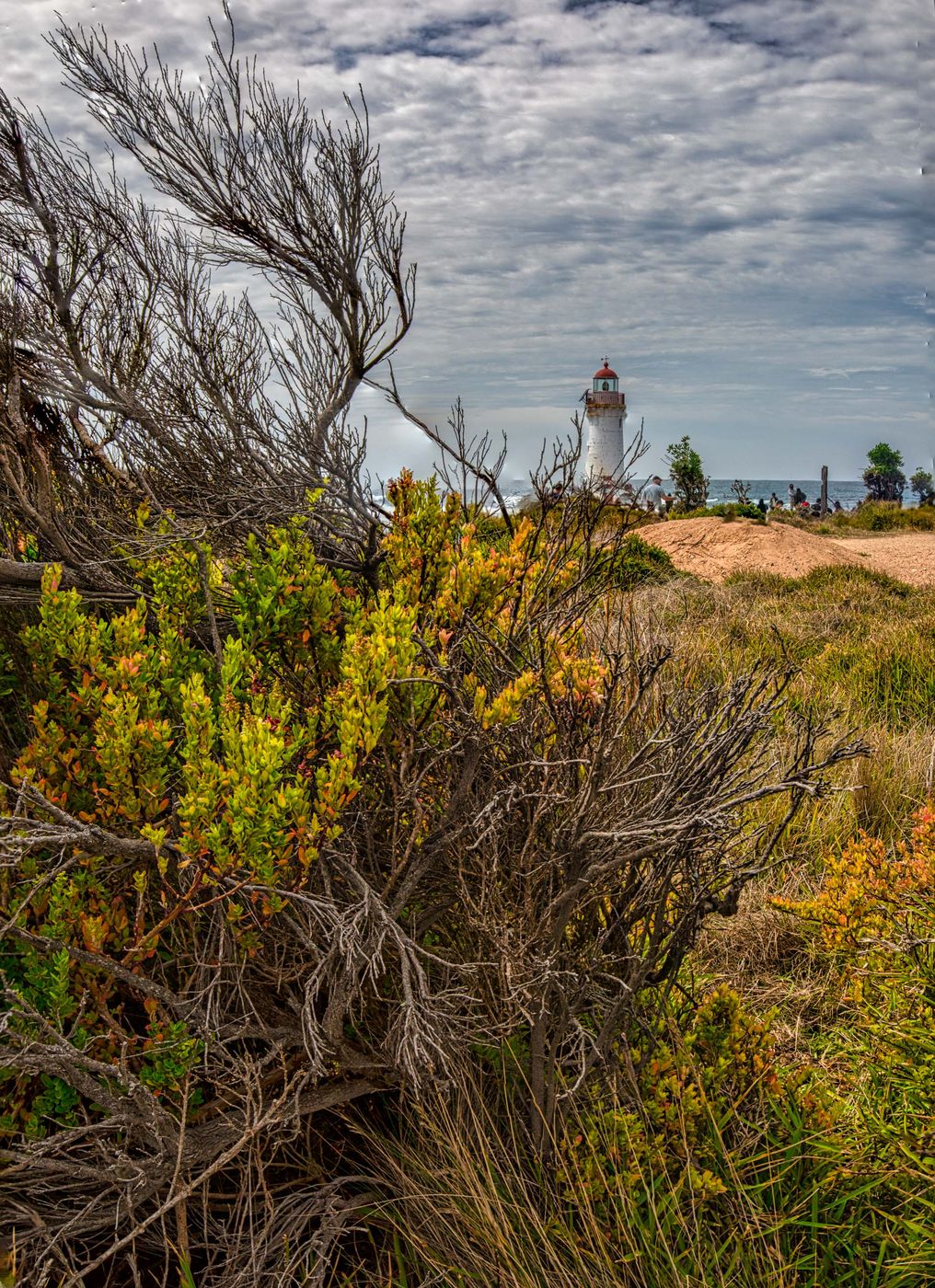 Through the bush Port Fairy Lighthouse, Griffith Island, Vic, Australia