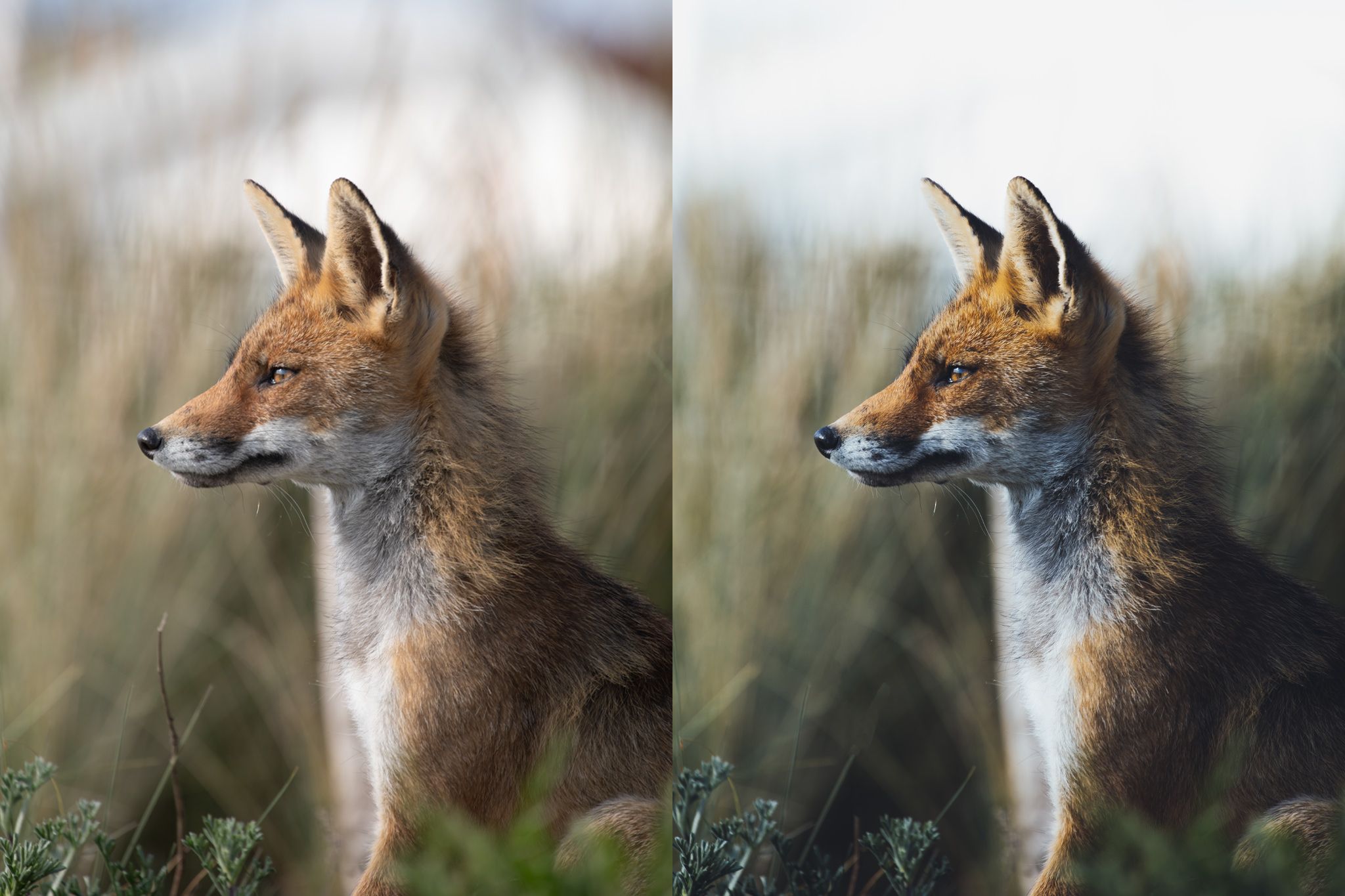 How to get the typical moody Instagram look in Lightroom