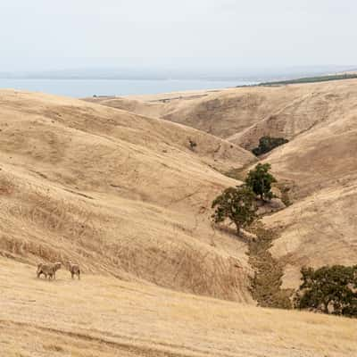 View from Myponga Beach Road, Australia