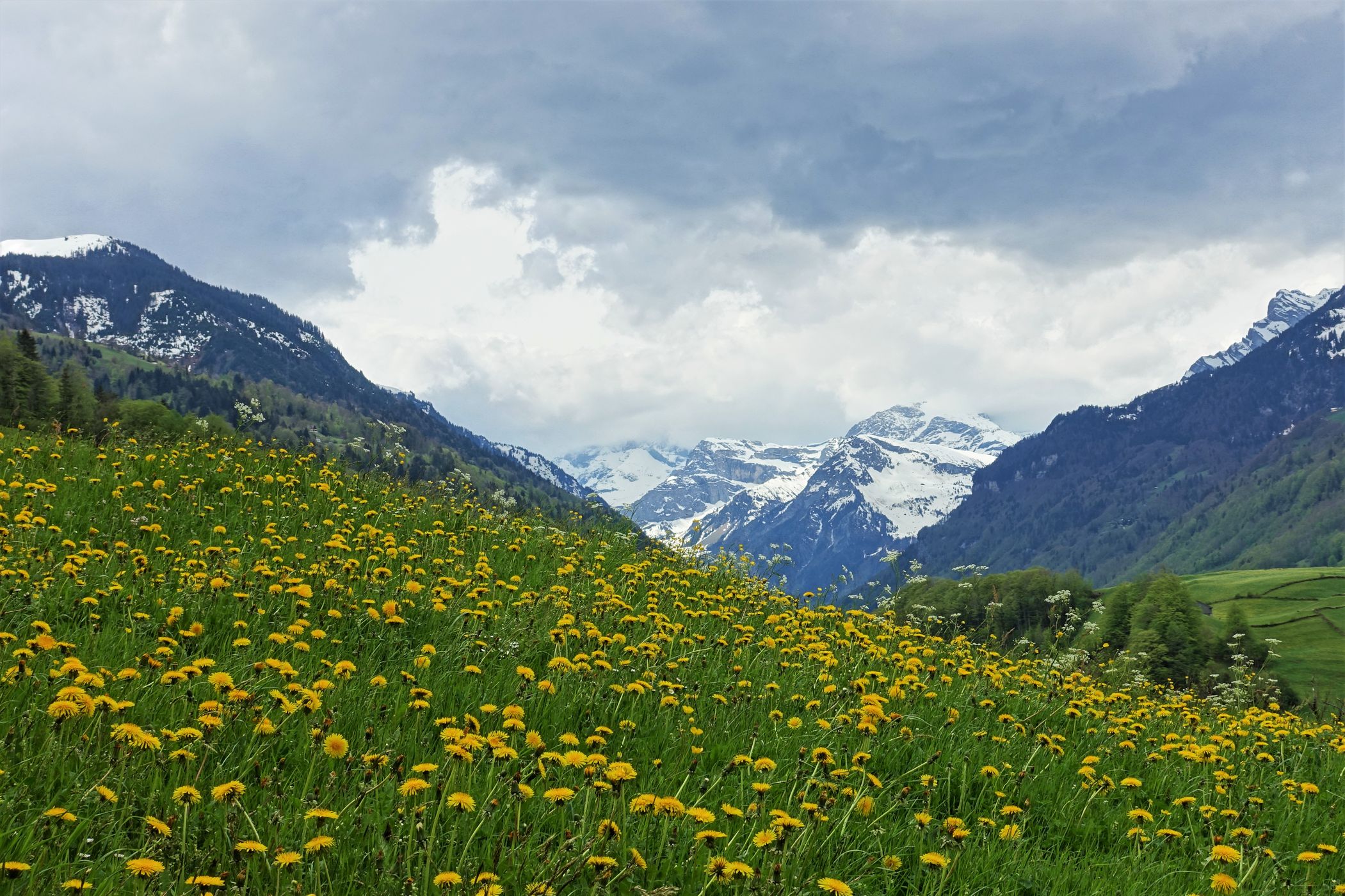 View on Mitlödi/GL, Switzerland