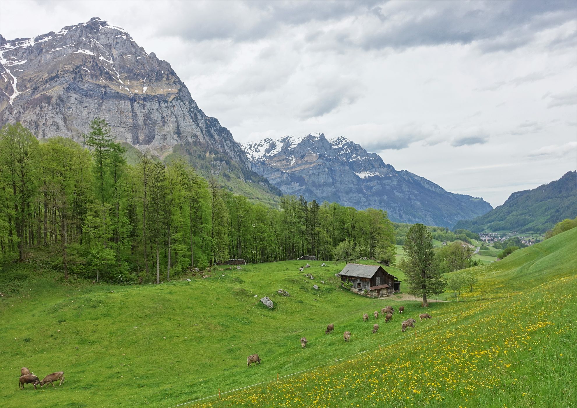View on Mitlödi/GL, Switzerland