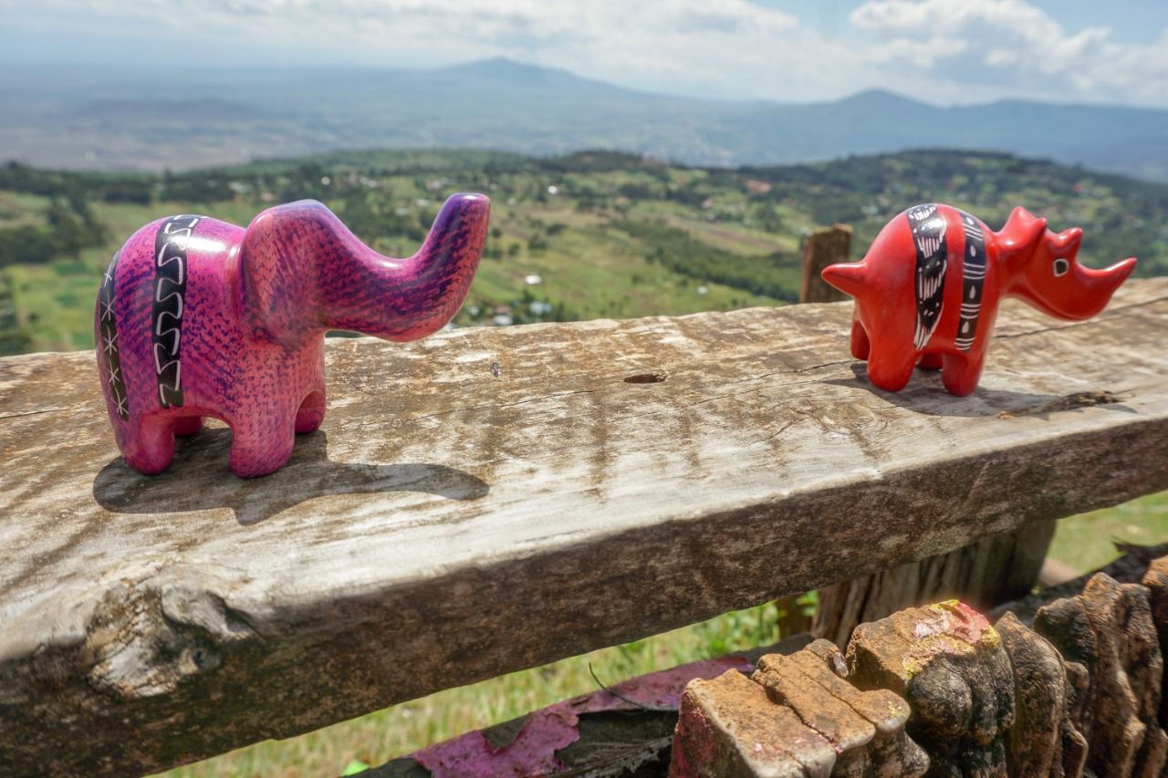 View point, Kenya