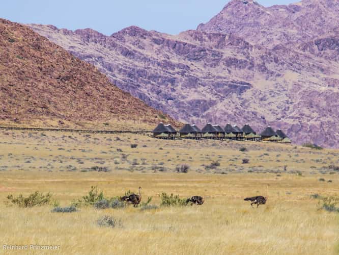 View to Sossus Dune Lodge