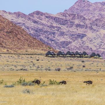 View to Sossus Dune Lodge, Namibia