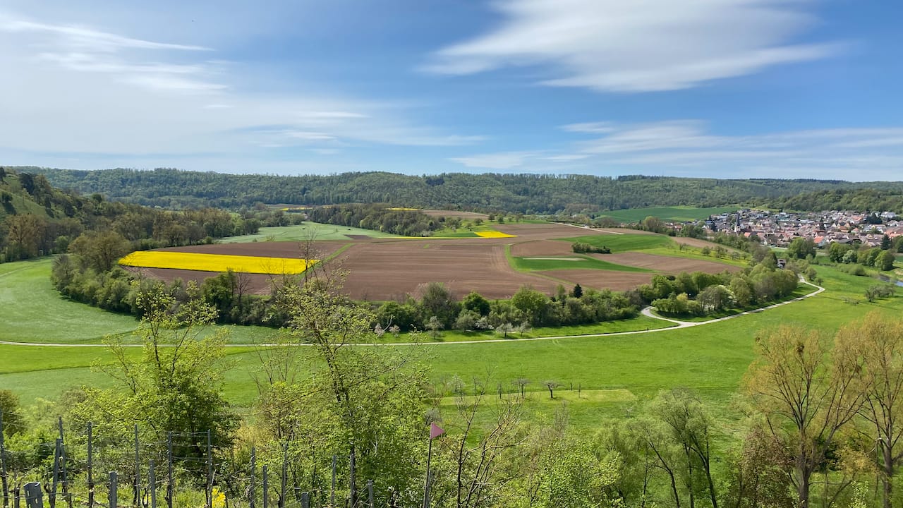 Vineyard hiking trail, Germany