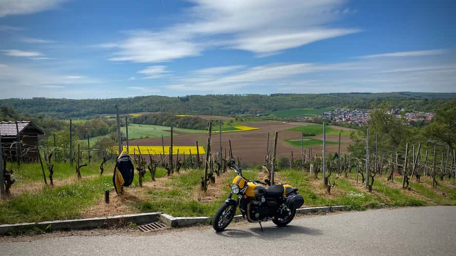 Vineyard hiking trail