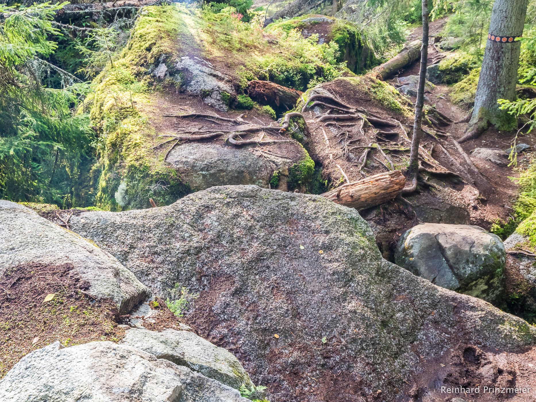 Vitsand Trail, Tiveden National Park, Sweden
