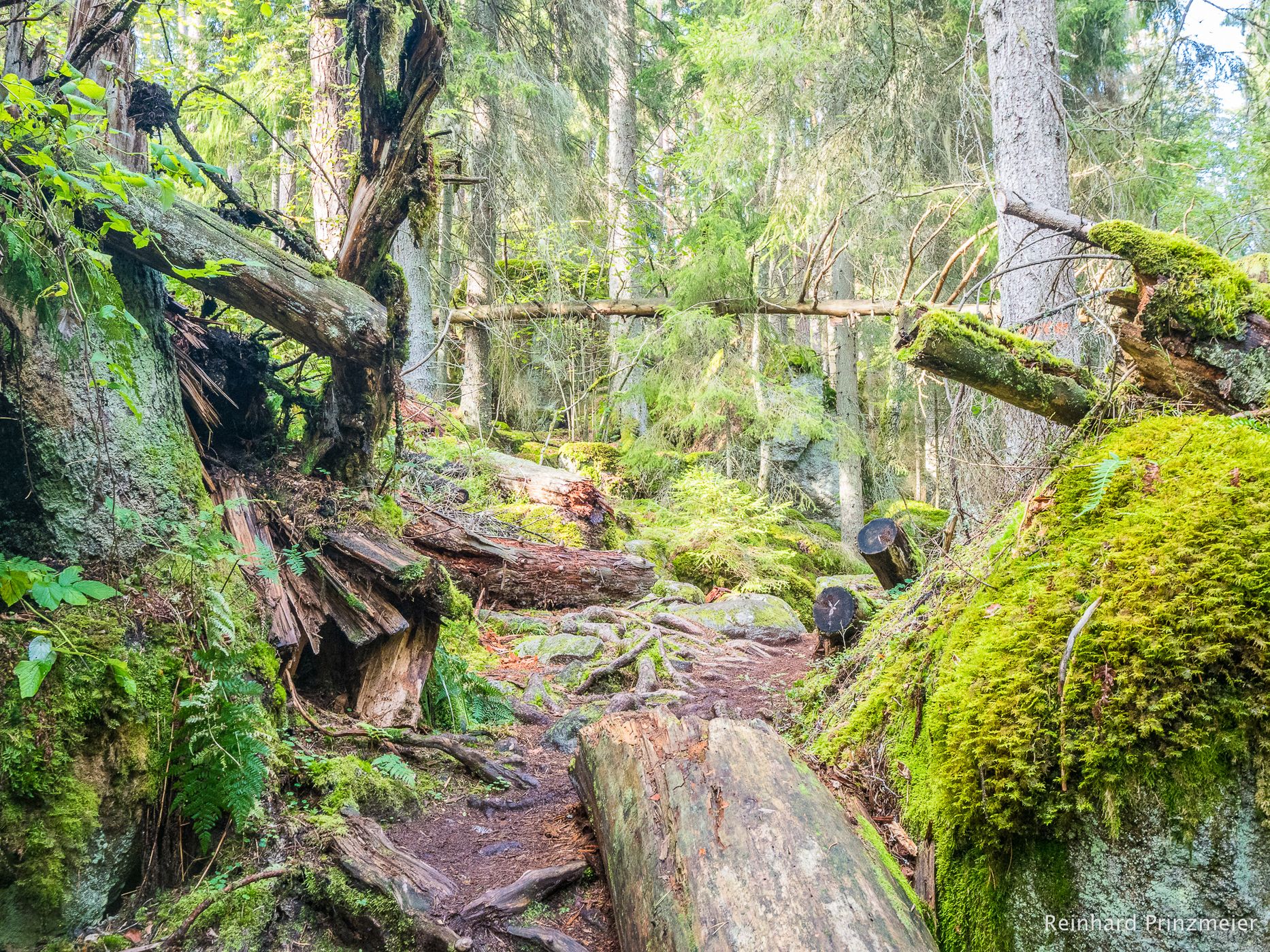 Vitsand Trail, Tiveden National Park, Sweden