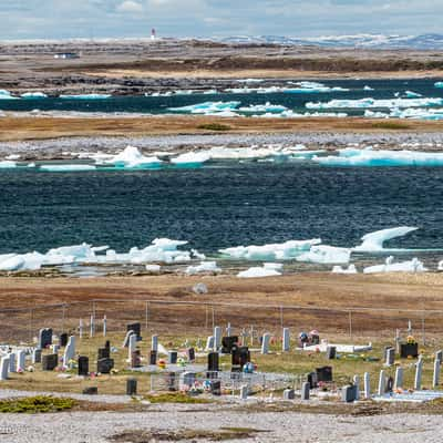 Wild Bight, Canada