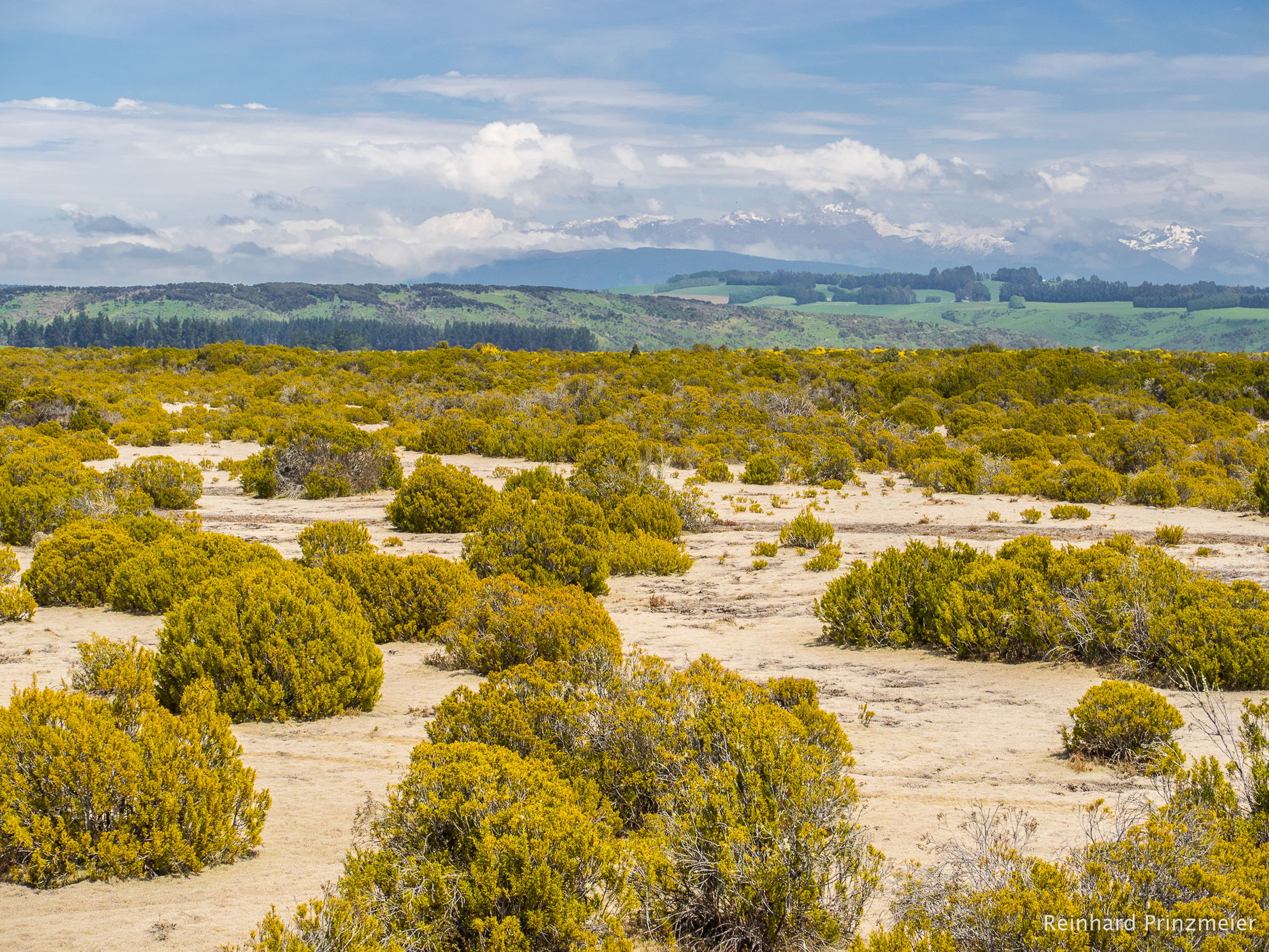 Wilderness Scientific Reserve, The Key, New Zealand