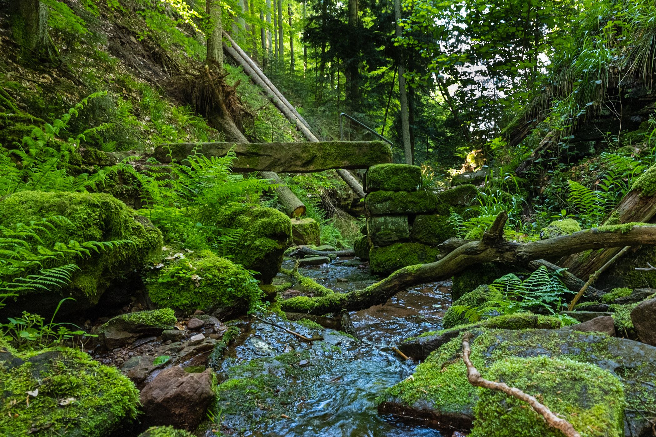 Wolfschlucht, Zwingenberg, Germany