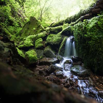 Wolfsschlucht, Germany