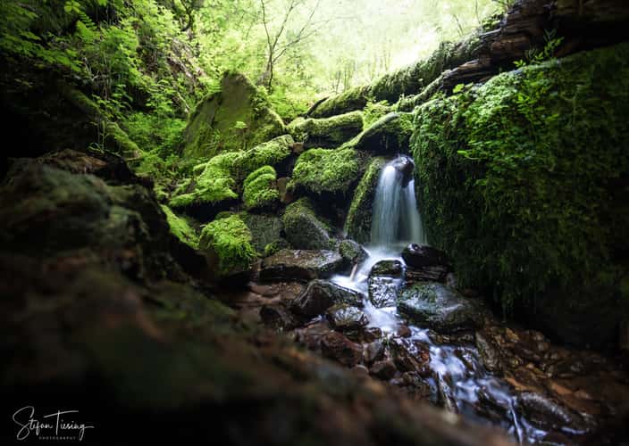 Wolfsschlucht