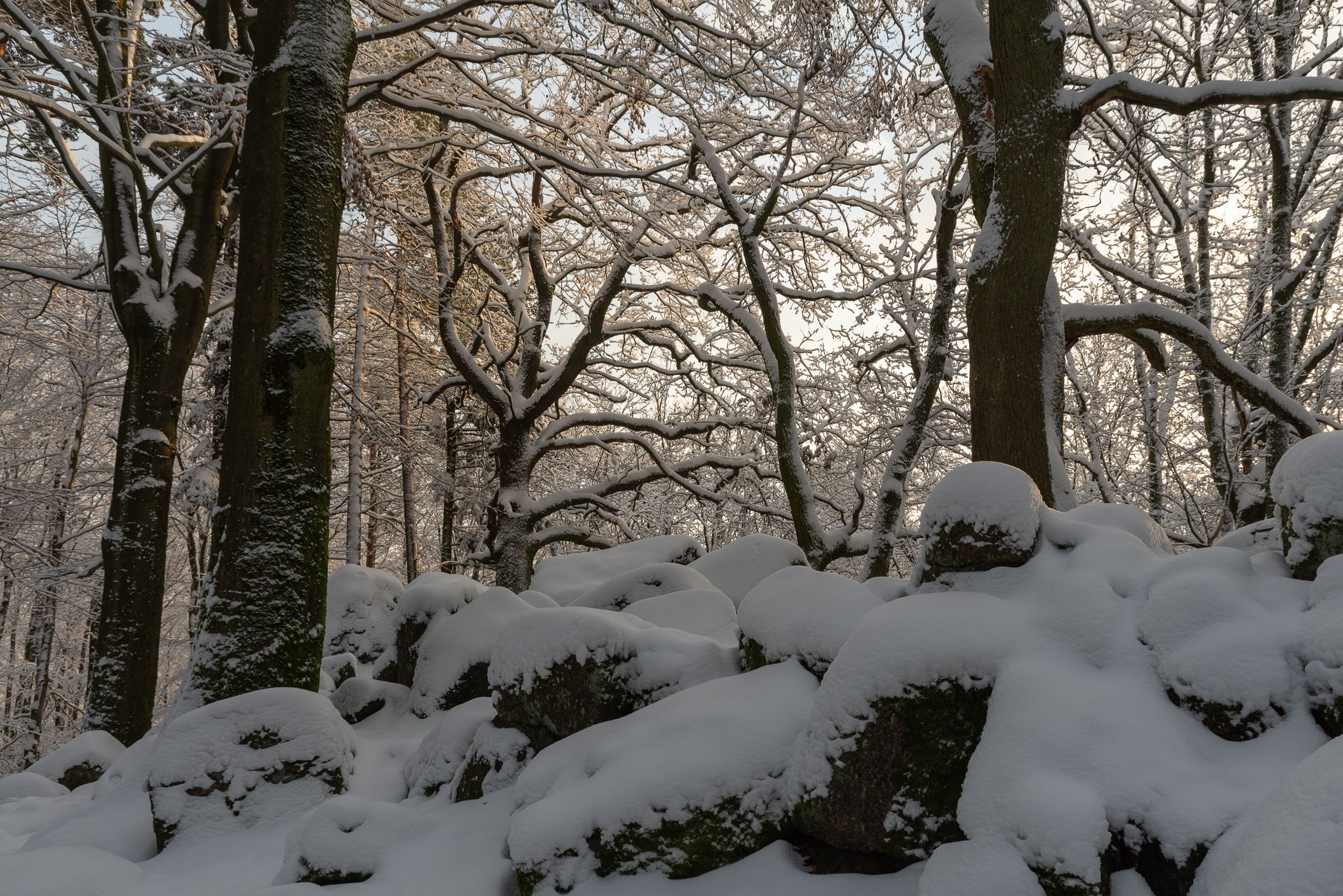 Zindenauer Schlösschen, Germany
