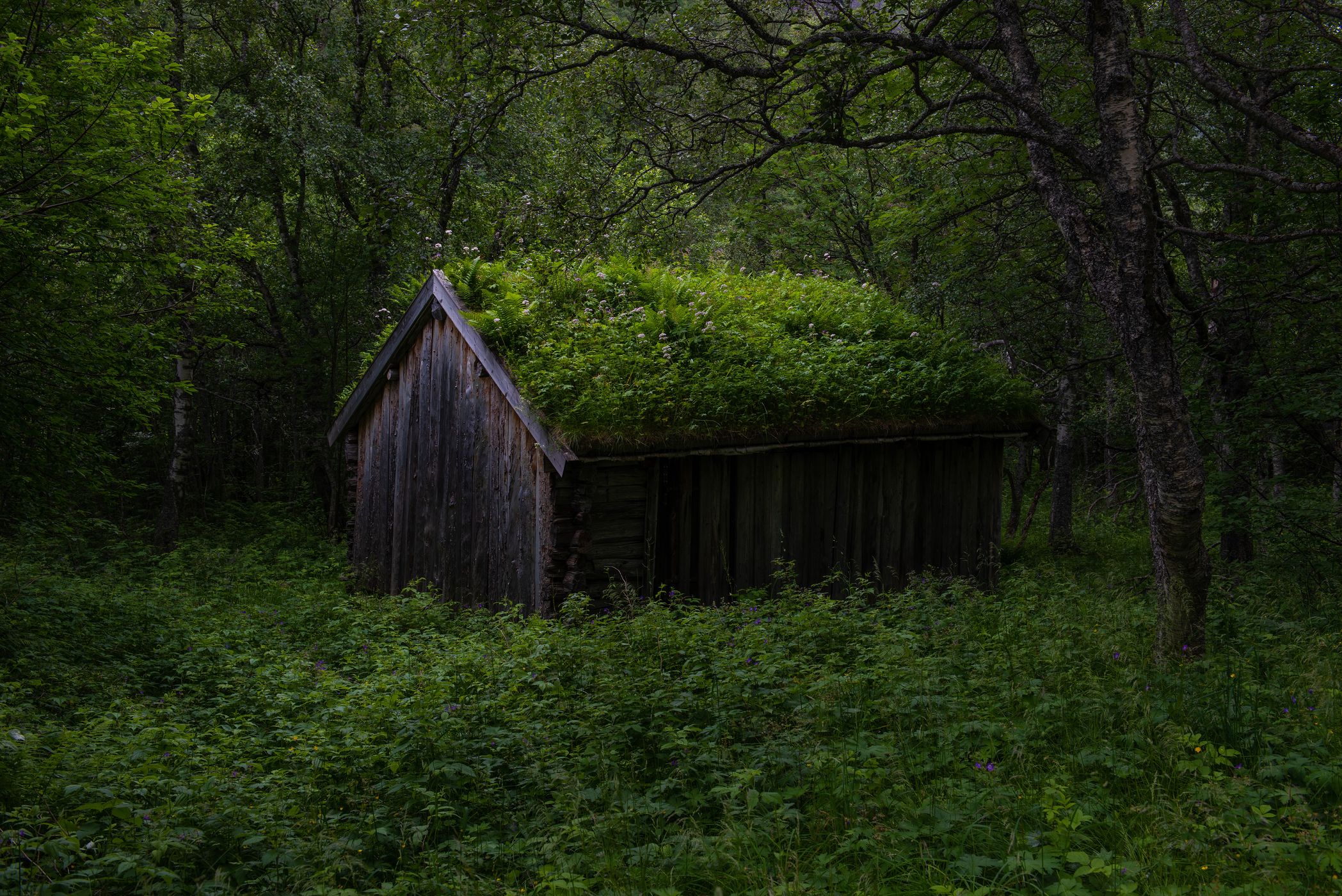 Abandoned cottage, Norway