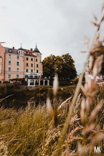 Alte Linde, Regensburg