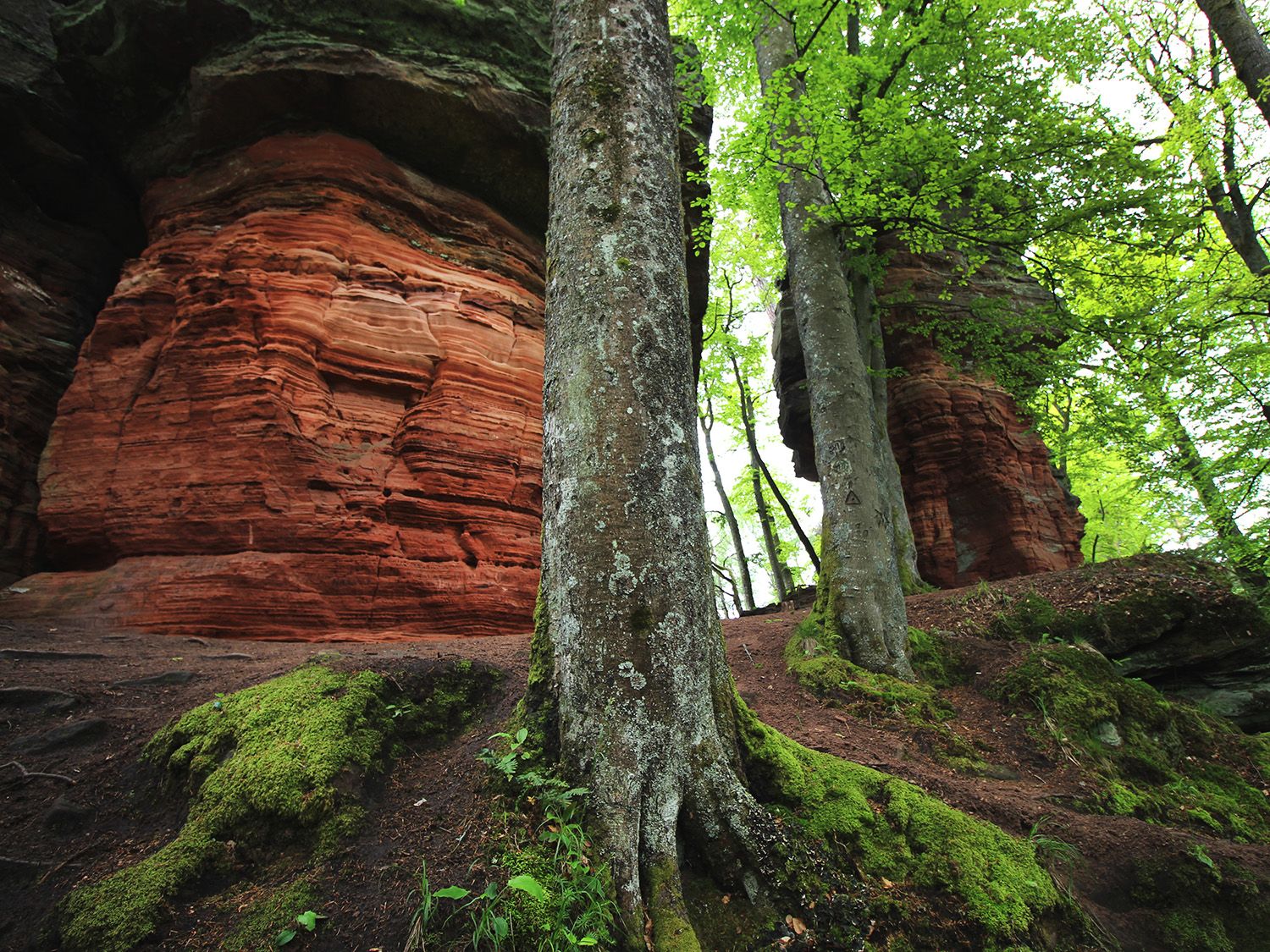 Altschlossfelsen, Germany