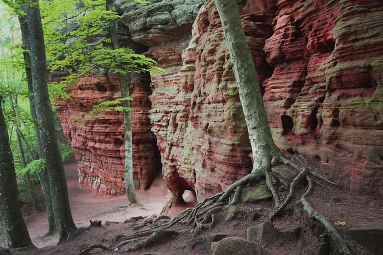 Altschlossfelsen