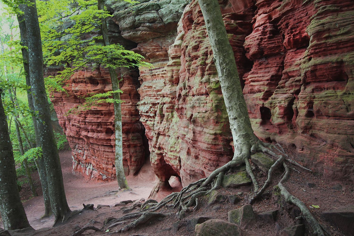 Altschlossfelsen, Germany