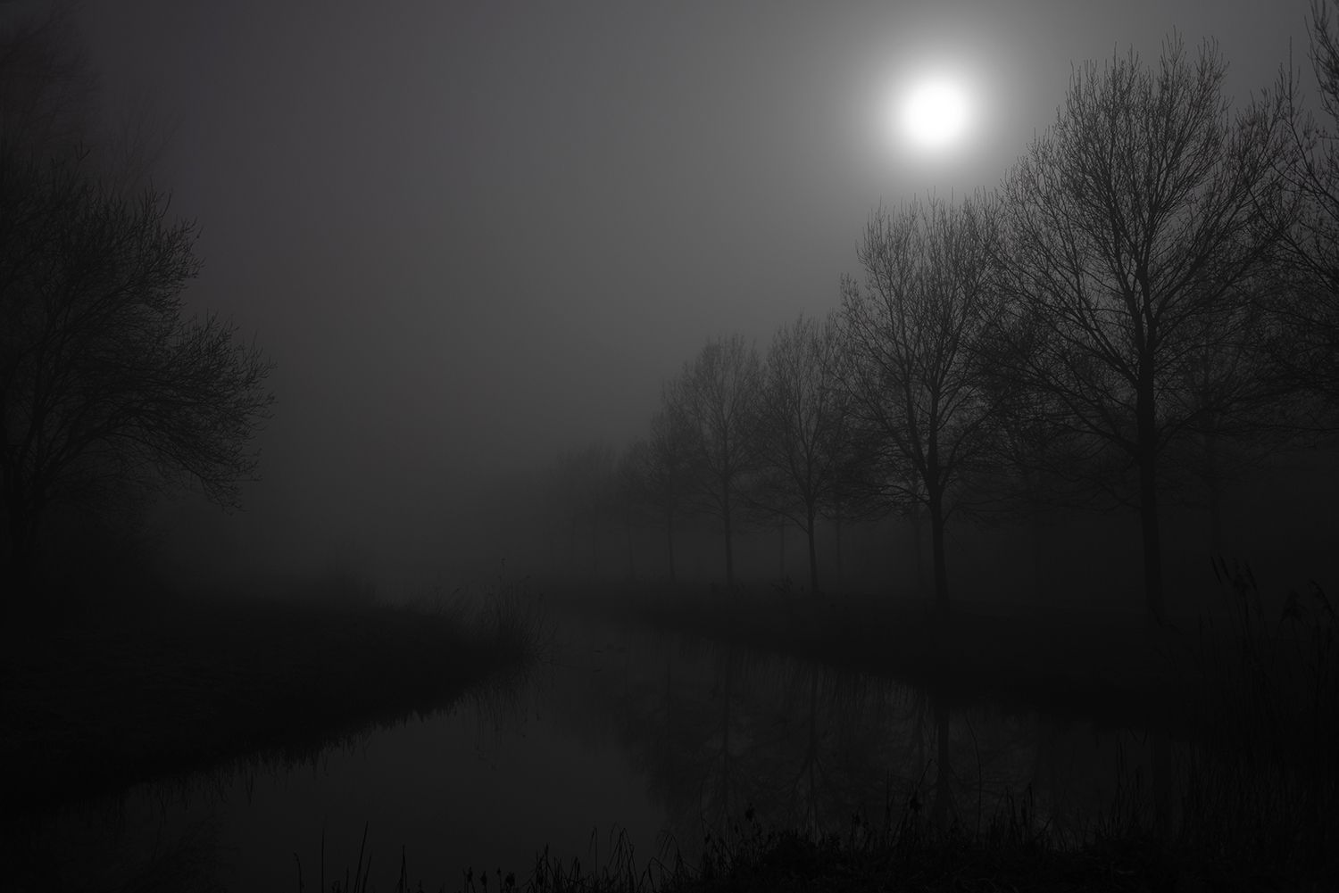 Bergshenhoek, Netherlands