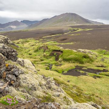 Berserk Lava Field, Iceland
