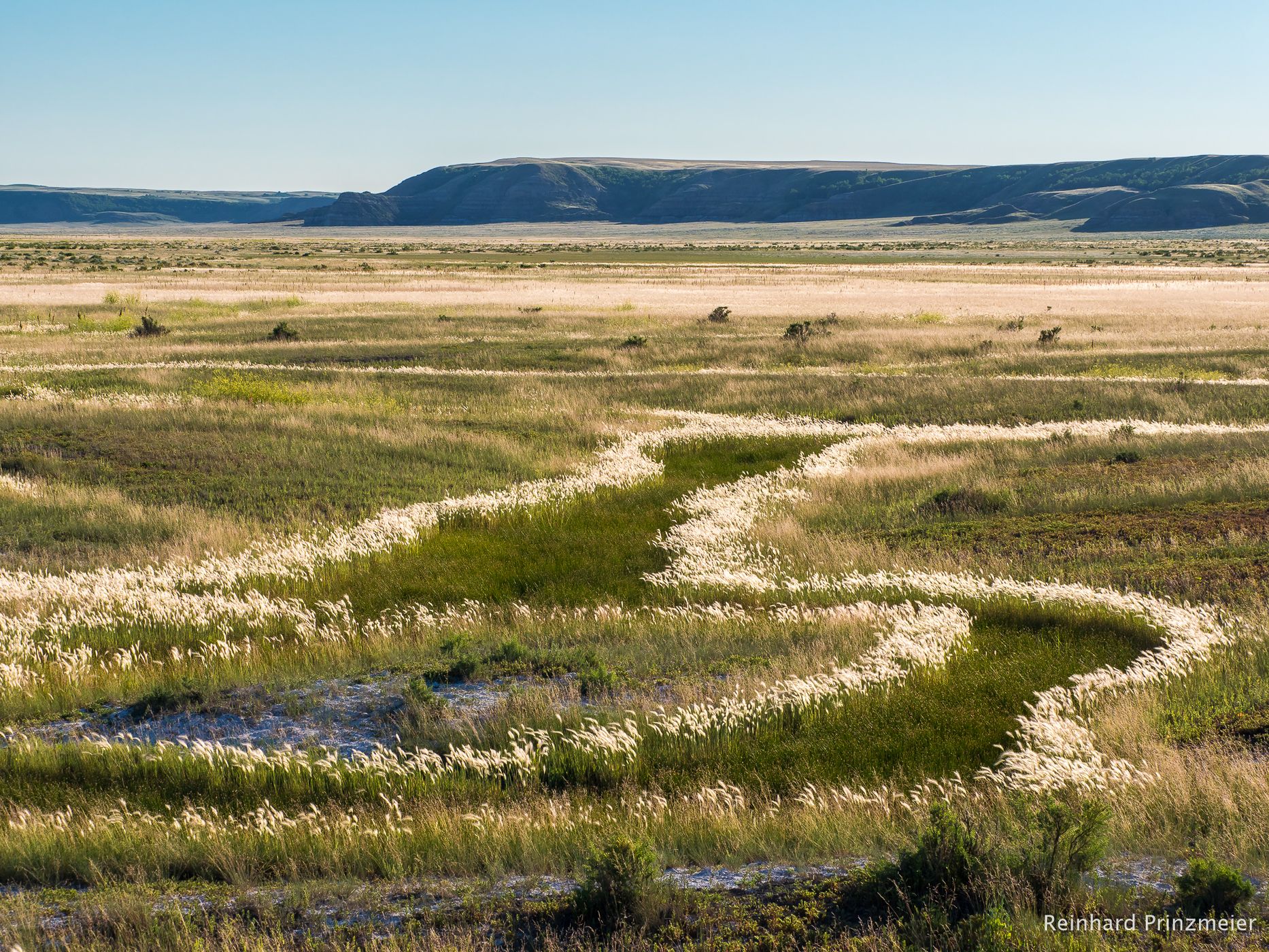 Big Muddy Badlands, Canada