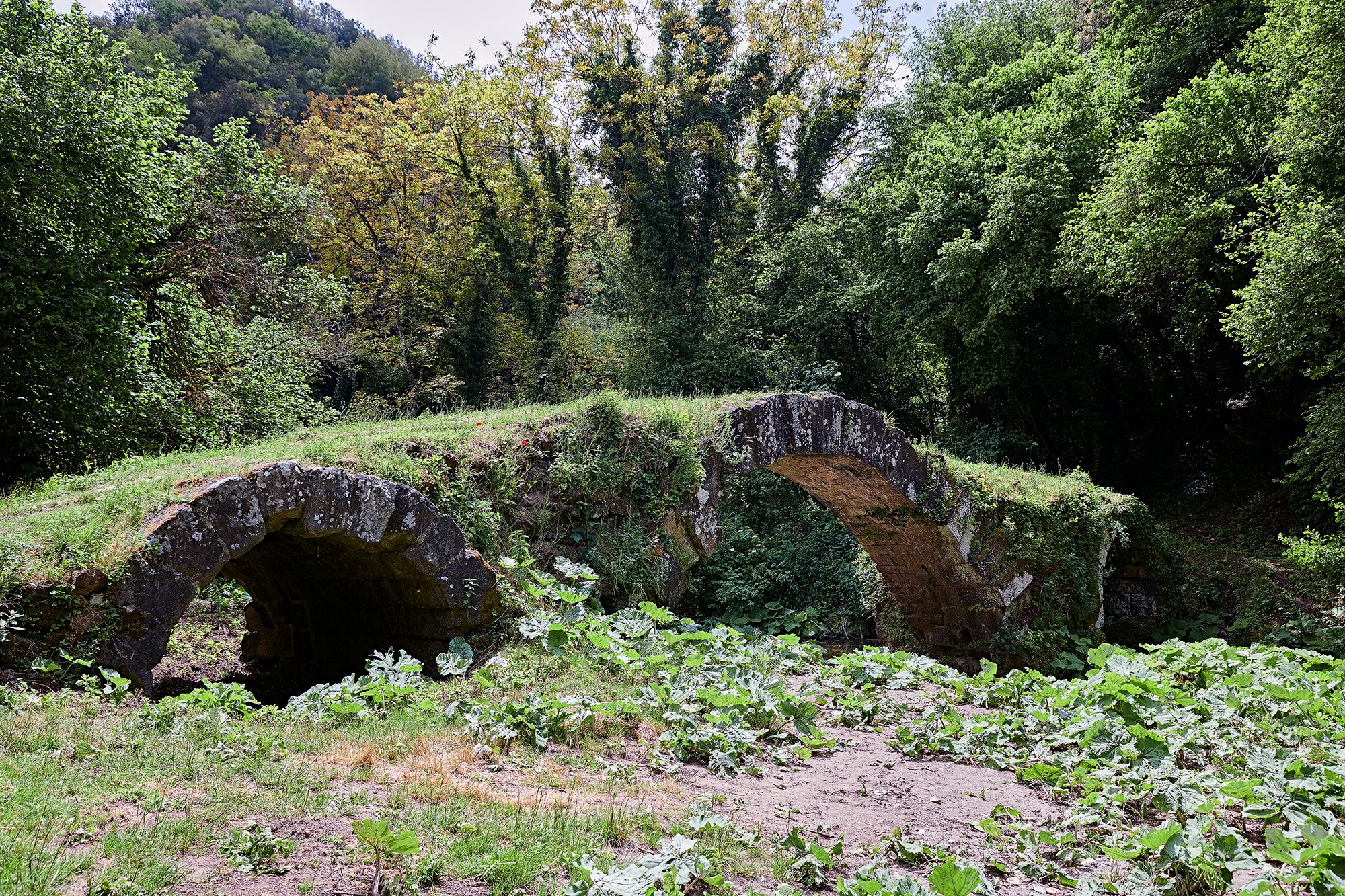 Blera, Italy